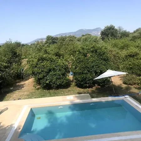 Villa Lemon House