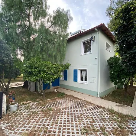 Lemon House *