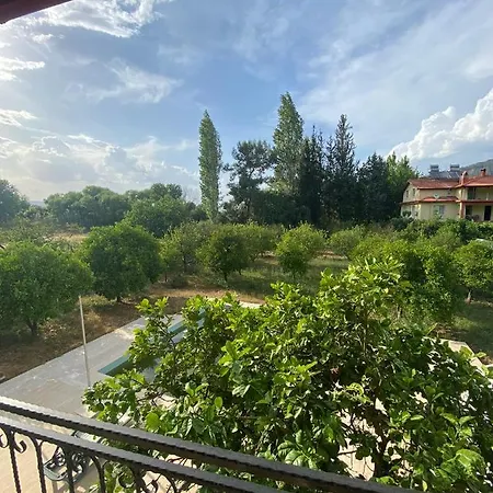 Villa Lemon House *