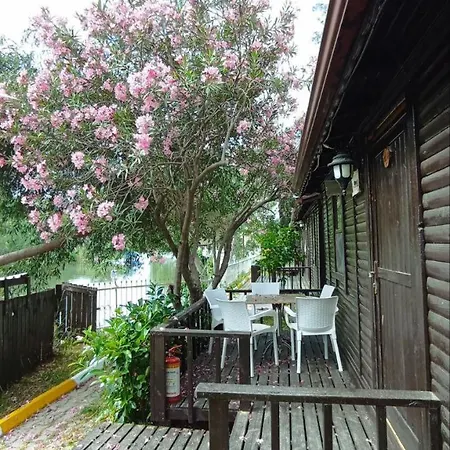 Lemon House *